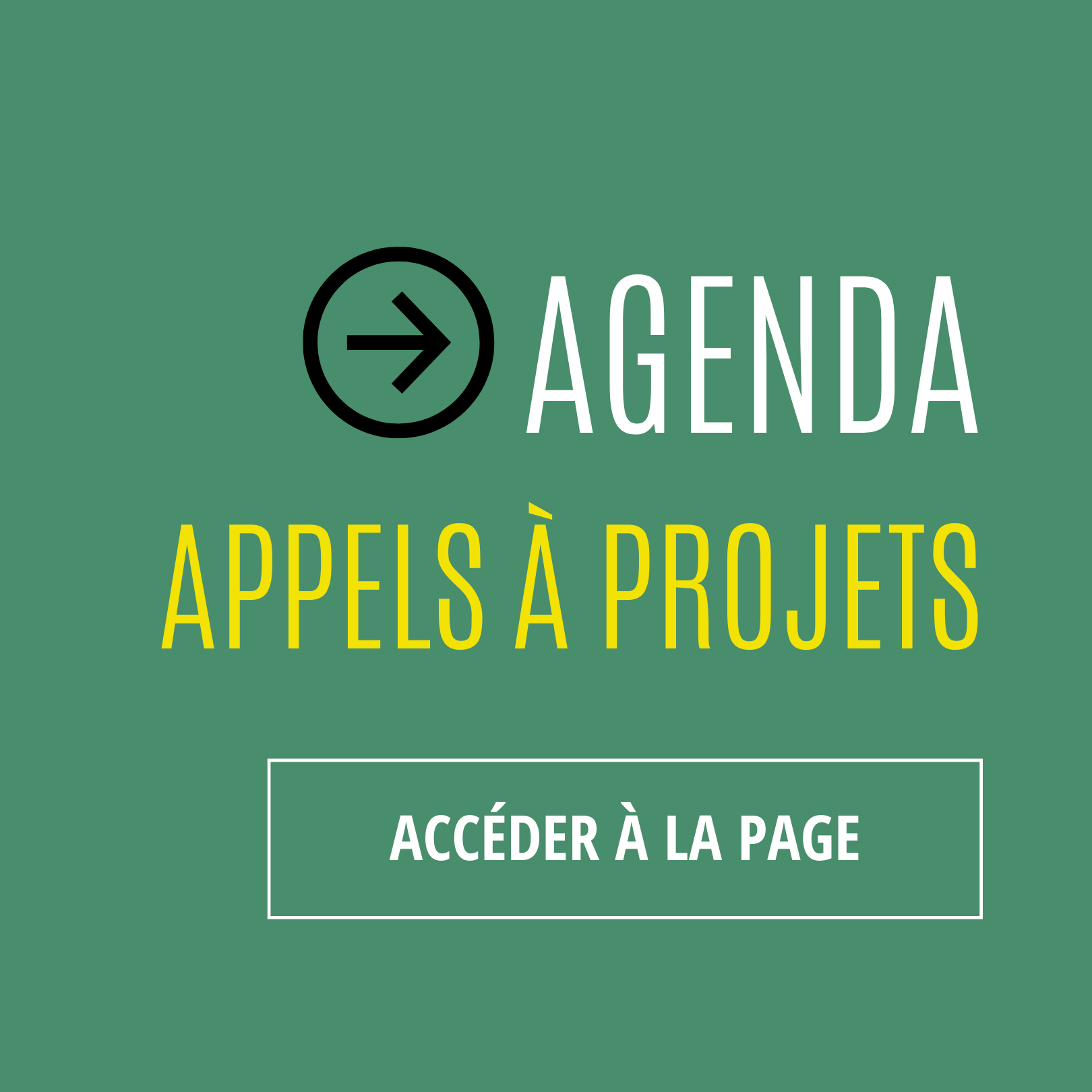 action pour la terre_Encart Appels a Projet - Bouton Open Sans Condensed